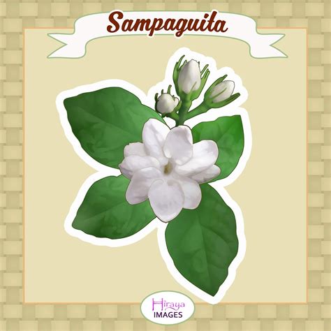 pambansang bulaklak|pambansang hayop ng pilipinas.